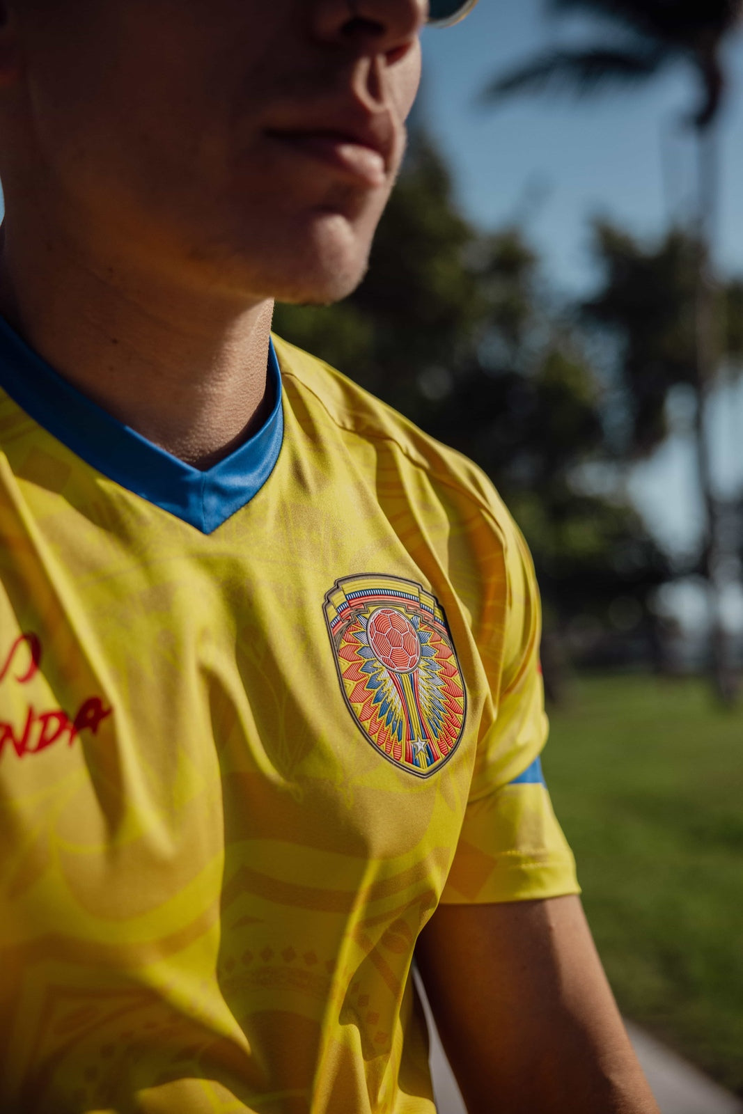 Colombia Copa America 2024 - crest detail | Senda Fan Jersey